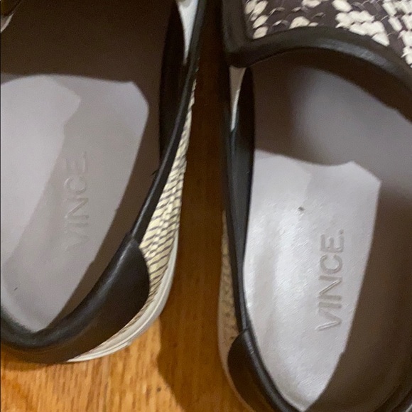 Vince Python slide - Picture 4 of 5